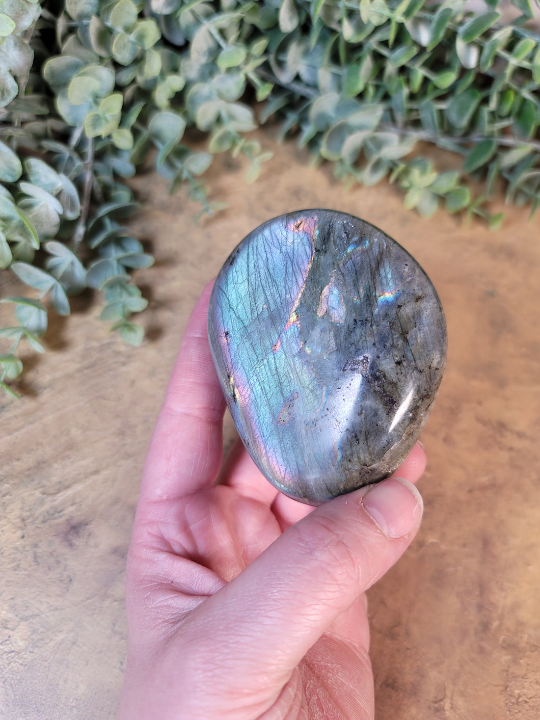 Labradorite Palm Flashes blue, purple