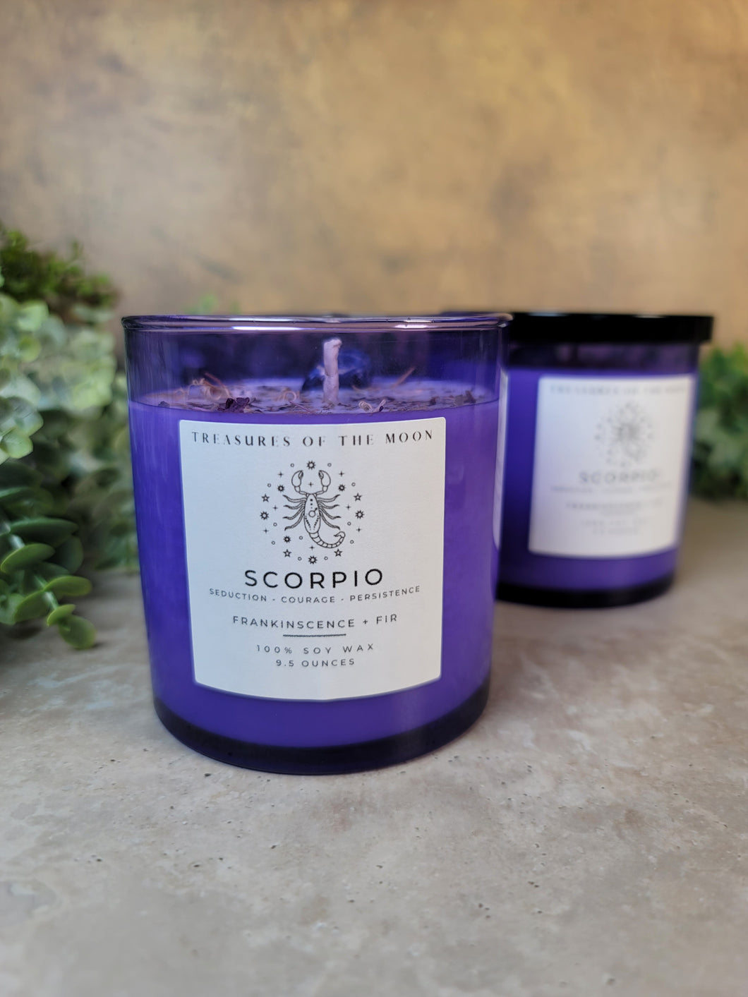 Scorpio Zodiac Candle 9.5oz - Treasures of The Moon