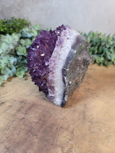 Load image into Gallery viewer, Stunning Amethyst Cluster Cut Base Specimen - Treasures of The Moon
