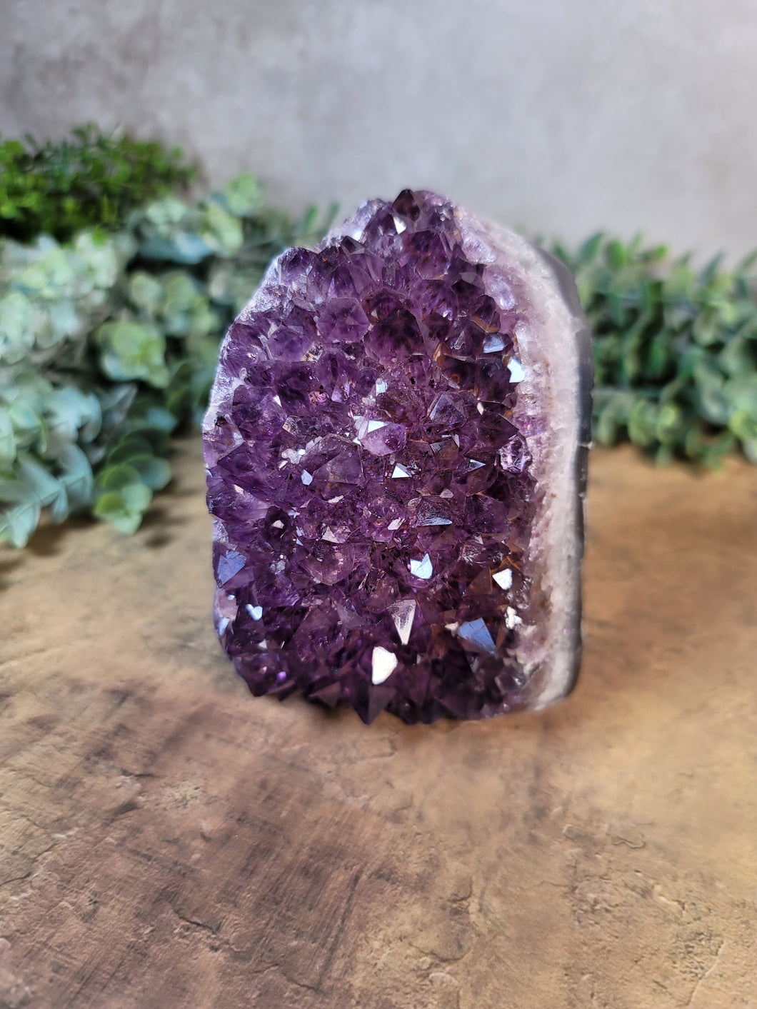 Stunning Amethyst Cluster Cut Base Specimen - Treasures of The Moon